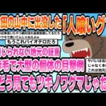 【2ch芸能まとめ】【北海道】「町内のハンターや道内の民間事業者と協議」奈井江町・ヒグマ駆除辞退問題町、猟友会部会への依頼断念【時事ニュース】