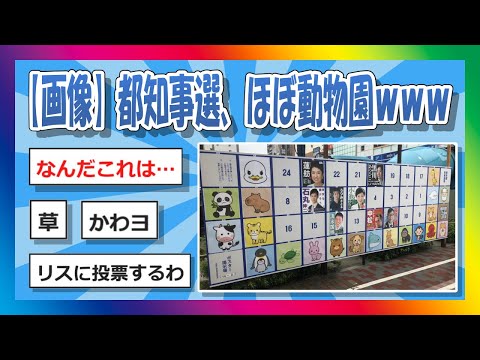 【2chまとめ】都知事選、ほぼ動物園【ゆっくり】