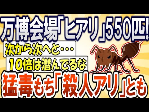 【2chまとめ】大阪万博会場に「ヒアリ」550匹も！猛毒をもち「殺人アリ」と呼ばれる蟻