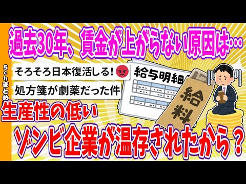 【2chまとめ】過去30年、賃金が上がらない原因は…生産性の低いゾンビ企業が温存されたから？【ゆっくり】