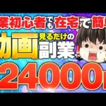 副業初心者でも在宅で簡単　動画を見るだけ日給24000円ってマジ？！