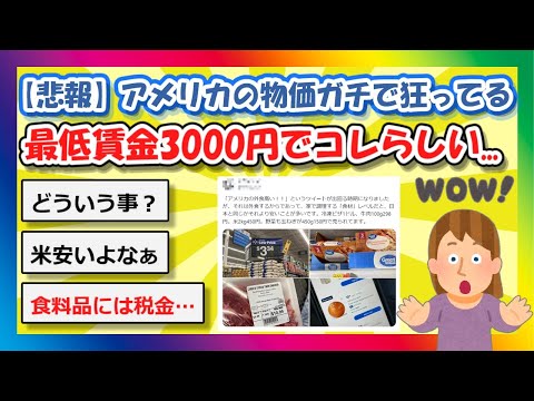 【2chまとめ】【悲報】アメリカの物価、ガチで狂ってる…最低賃金3000円でコレらしい【ゆっくり】