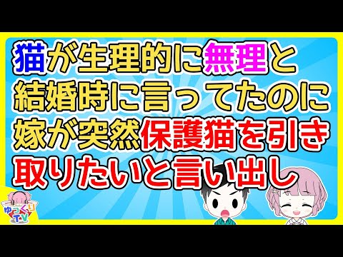 【2ch】俺が猫が生理的に無理という事情を知ってたはずの嫁が相談なしに保護猫を引き取ると安請け合い【2ch面白いスレ 2chまとめ】